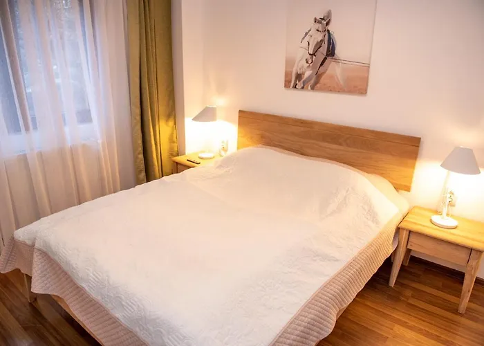 Classic Apartment Near The City Center